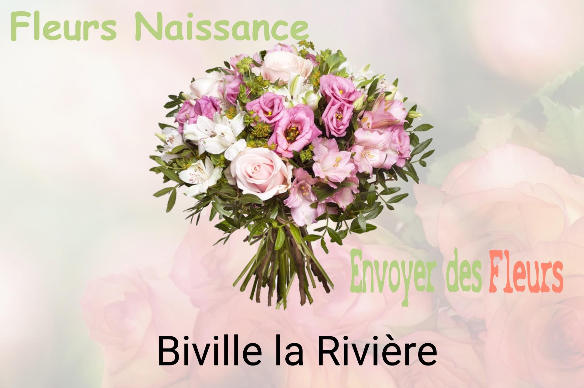 Bouquet de fleurs de naissance livré à Biville-la-Rivière